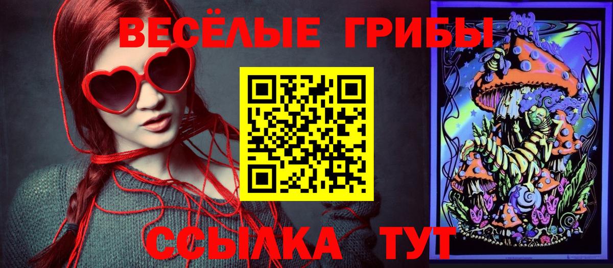 Псилоцибиновые грибы MAGIC MUSHROOMS Печора