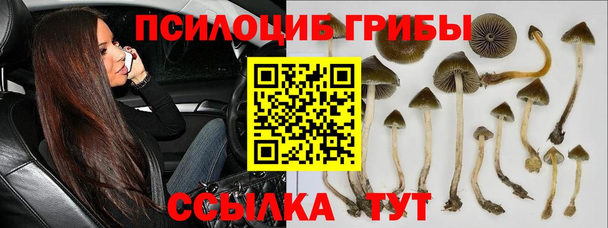 Псилоцибиновые грибы GOLDEN TEACHER  хочу наркоту  Печора  Вход с VPN 